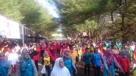 Gebyar Senam Lansia di Pantai Baru