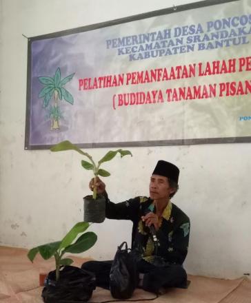 Pelatihan Pemanfaatan Lahan Pekarangan