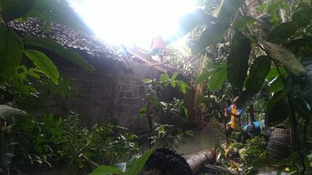 Evakuasi Pohon Tumbang Dusun Karang