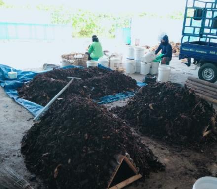 Mengolah Sampah Organik Melalui Sistem Pengomposan Windrow