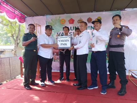 Antisipasi PMK, Pemda Bantul  Laksanakan Vaksinasi Ternak Sapi