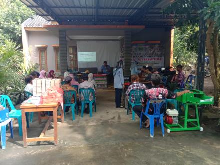 Pelatihan Budidaya Ternak Domba Lokal