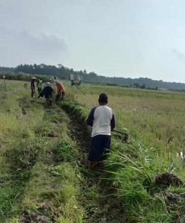 Lancarkan Pengairan Sawah, Warga Koripan Laksanakan Angkat Walet