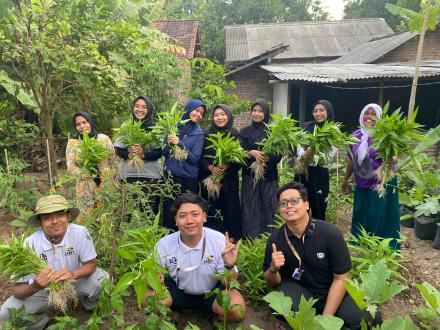 20 Ikat Sayur Kangkung Dihasilkan Oleh KWT Sekar Lembayung