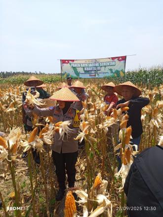 Panen Raya Dukungan Swasembada Pangan Nasional